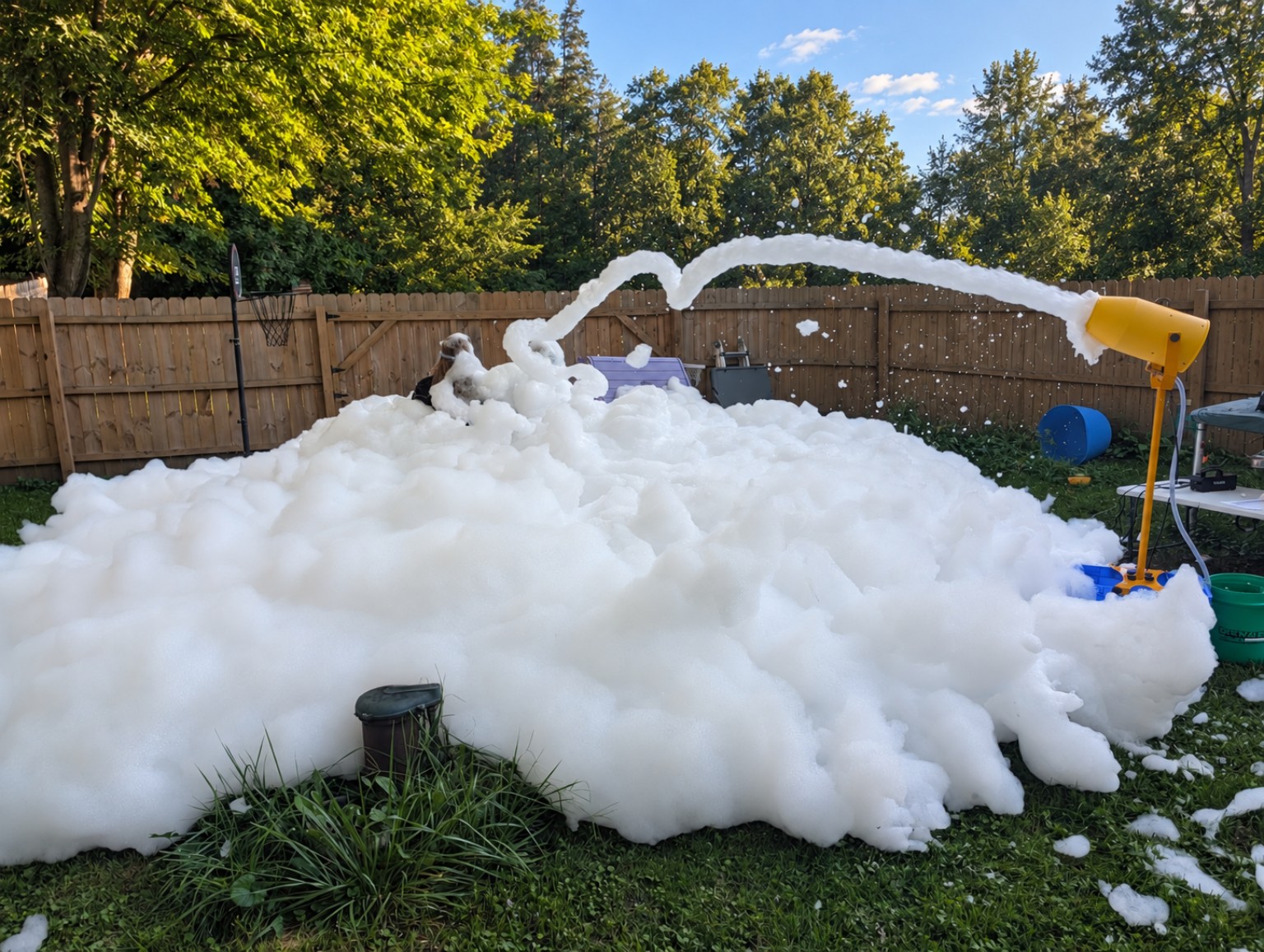 A backyard filled with foam from a Sherlock Foams party
